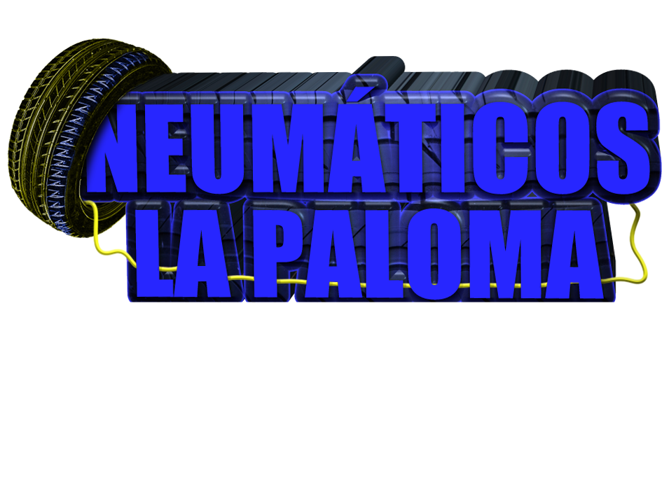 Neumáticos Michelin